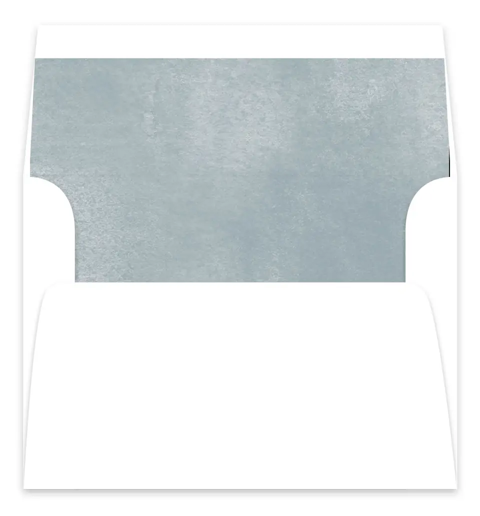 This is a Envelope Liners for 5 x 7 Card Bachelorette Party Accessorie called Arctic Animals printed in full color