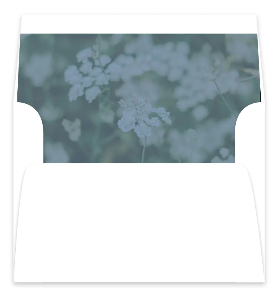 This is a  7.125" x 7" Envelope Liners (ELC) called Berkeley printed in full color