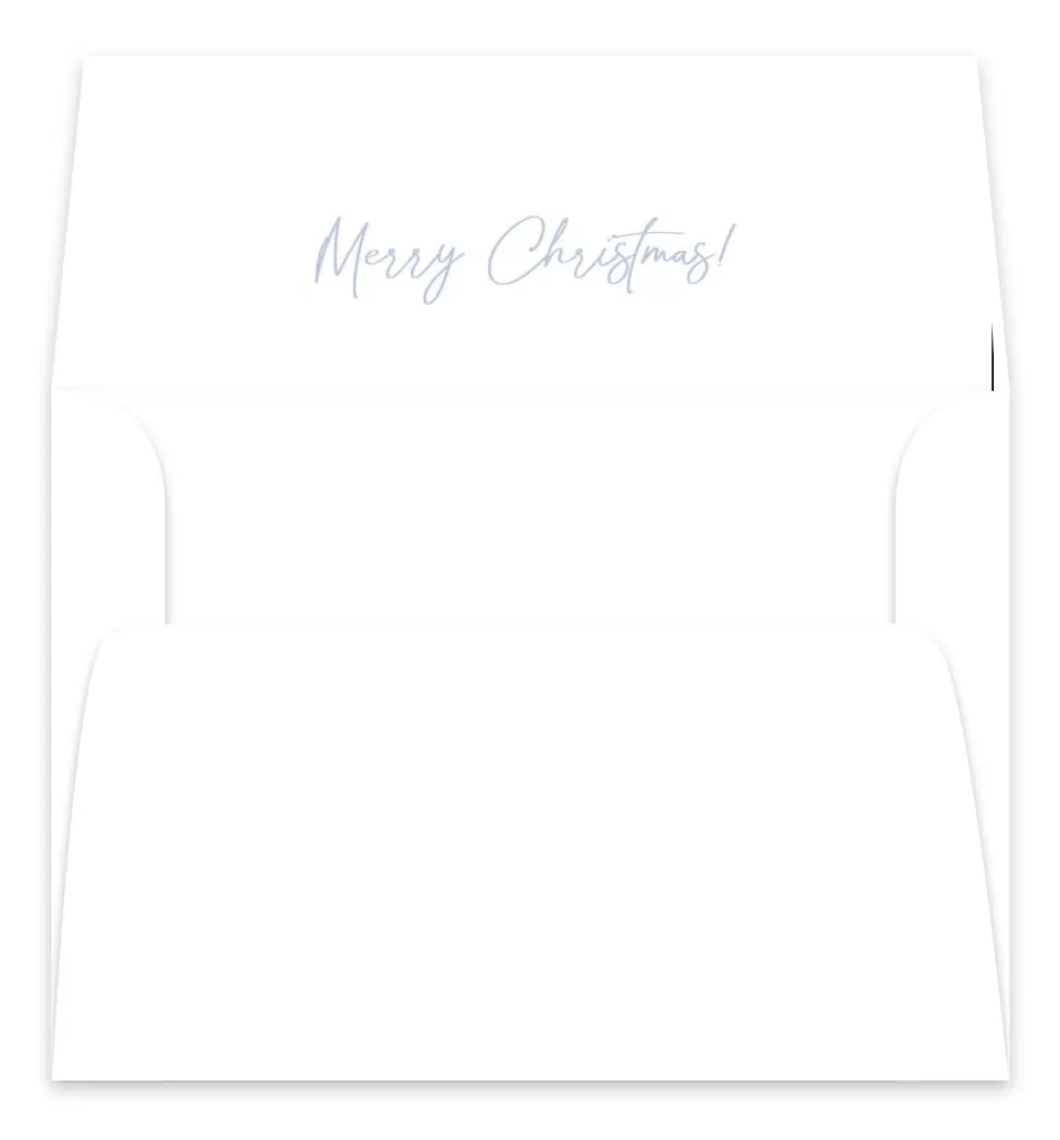 This is a Envelope Liners for 5 x 7 Card Envelope Liners for 5 x 7 Christmas Card called Christmas Promotion printed in full color