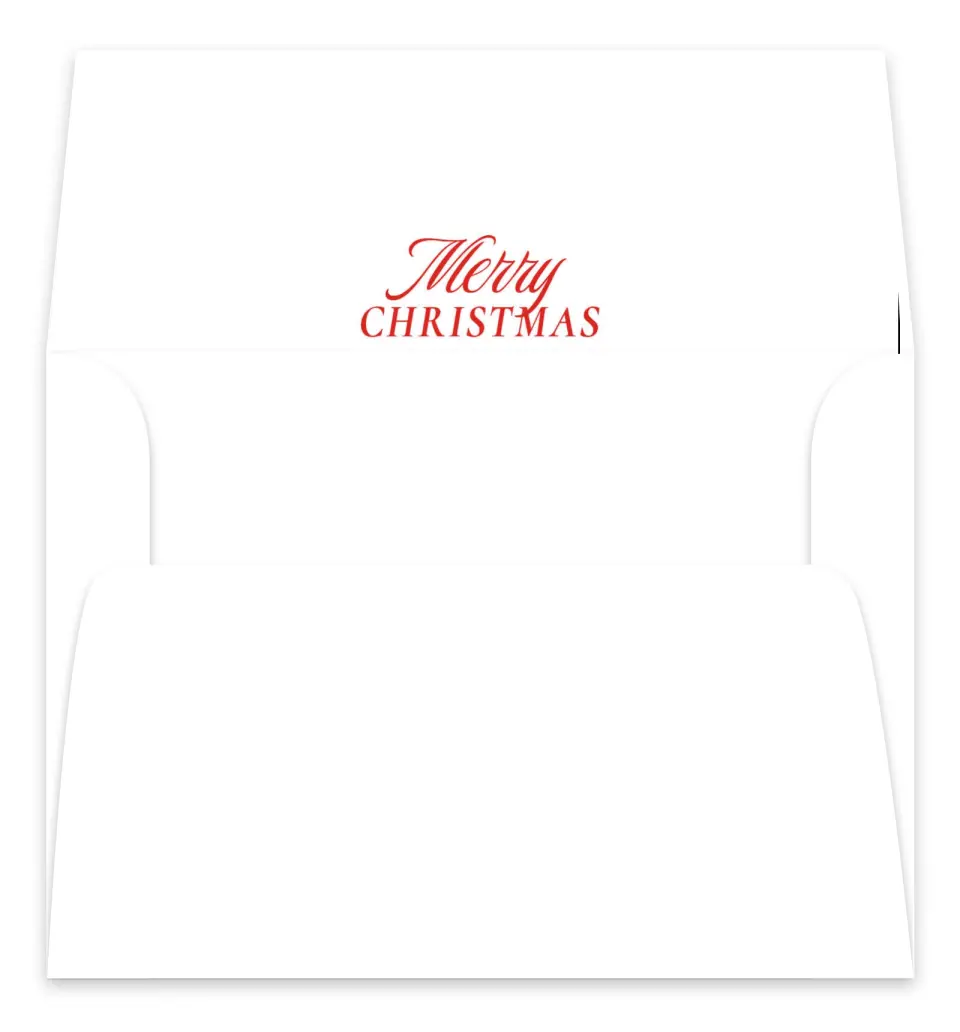 This is a Envelope Liners for 5 x 7 Card Envelope Liners for 5 x 7 Christmas Card called Our Favorite Things printed in full color