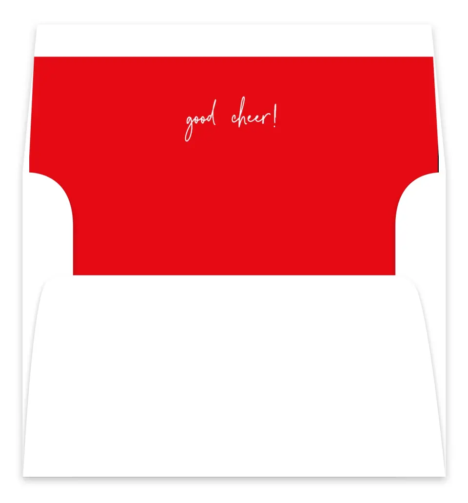 This is a Envelope Liners for 5 x 7 Card Envelope Liners for 5 x 7 Christmas Card called Photographed Joy printed in full color