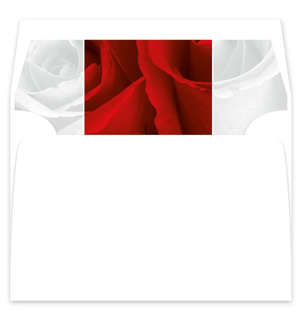 This is a  7¼" x 6⅞" Envelope Liners (ELF) called Dramatic Roses printed in full color
