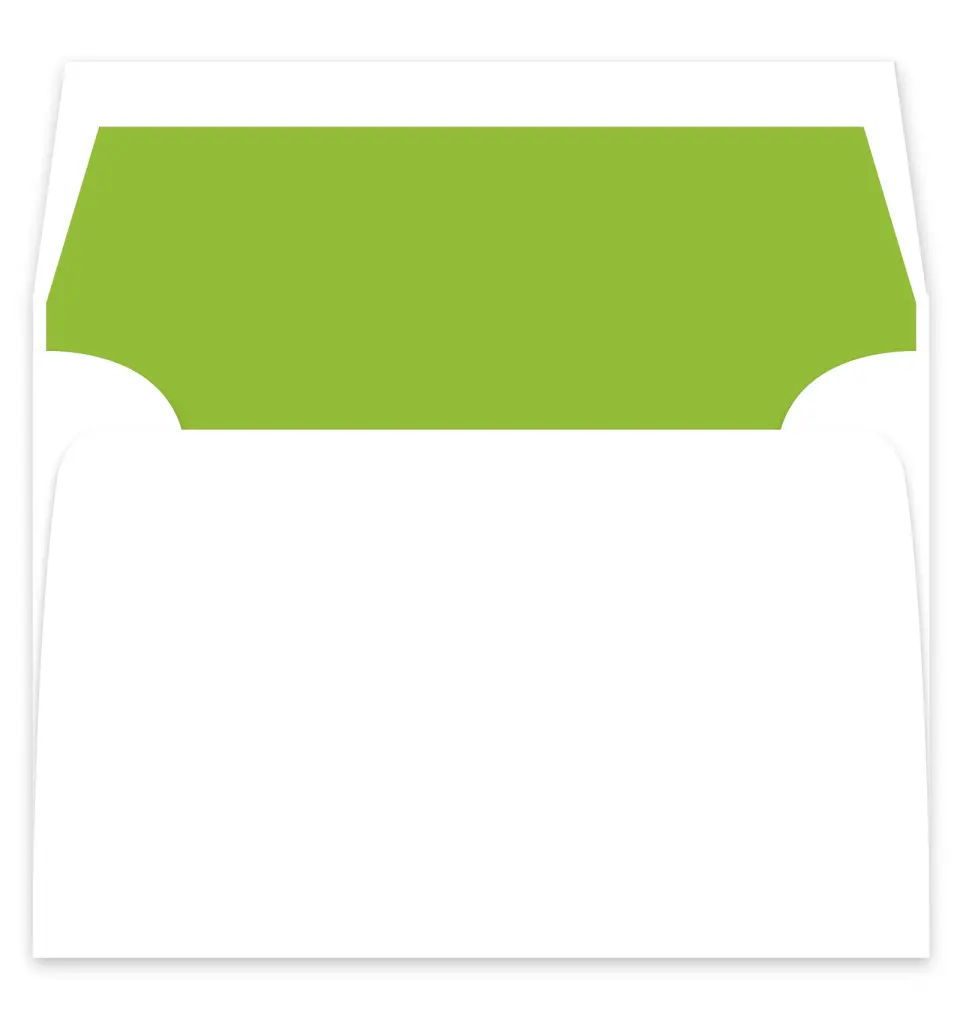 This is a  7¼" x 6⅞" Envelope Liners (ELF) called Ornament Stripe printed in full color