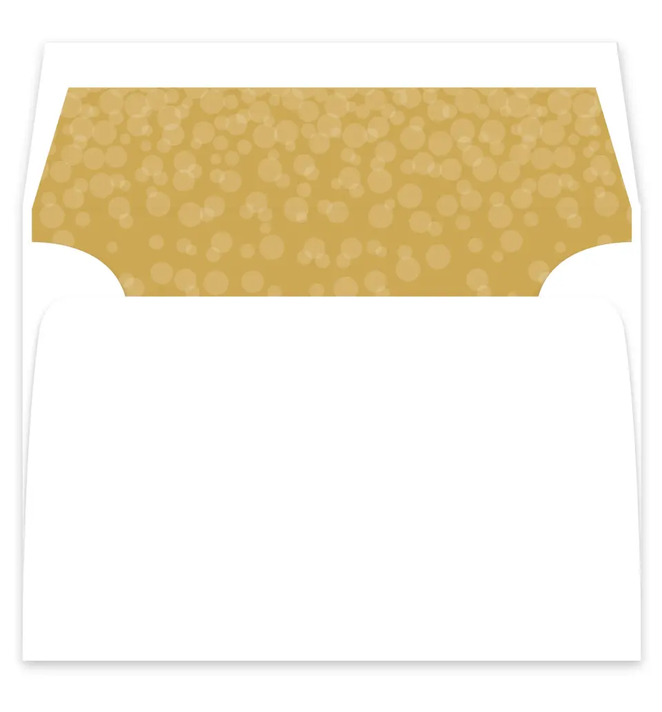 This is a  7¼" x 6⅞" Envelope Liners (ELF) called Rooftop Party printed in full color