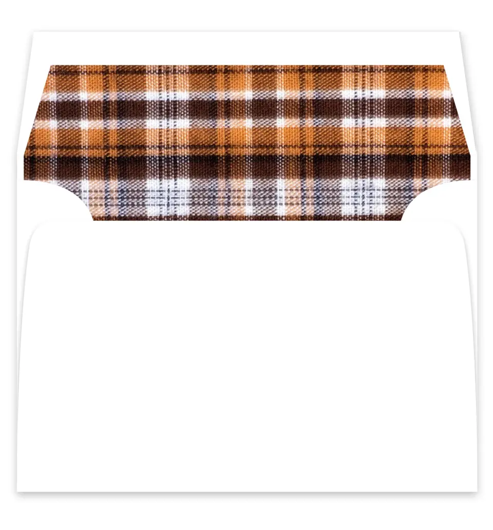 This is a  7¼" x 6⅞" Envelope Liners (ELF) called Perfectly Plaid printed in full color