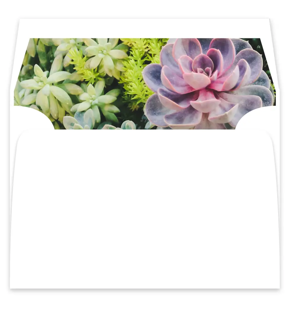 This is a  7¼" x 6⅞" Envelope Liners (ELF) called Sophisticated Succulents printed in full color
