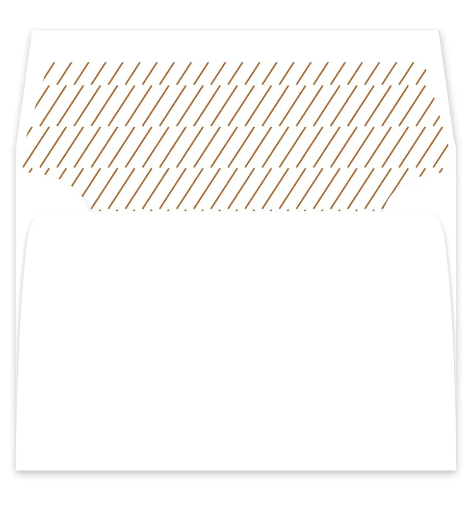 This is a  7¼" x 6⅞" Envelope Liners (ELF) called Sneek Peek printed in full color