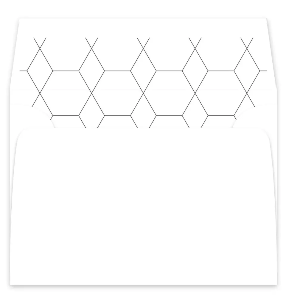 This is a  7¼" x 6⅞" Envelope Liners (ELF) called Boldy Forward printed in full color