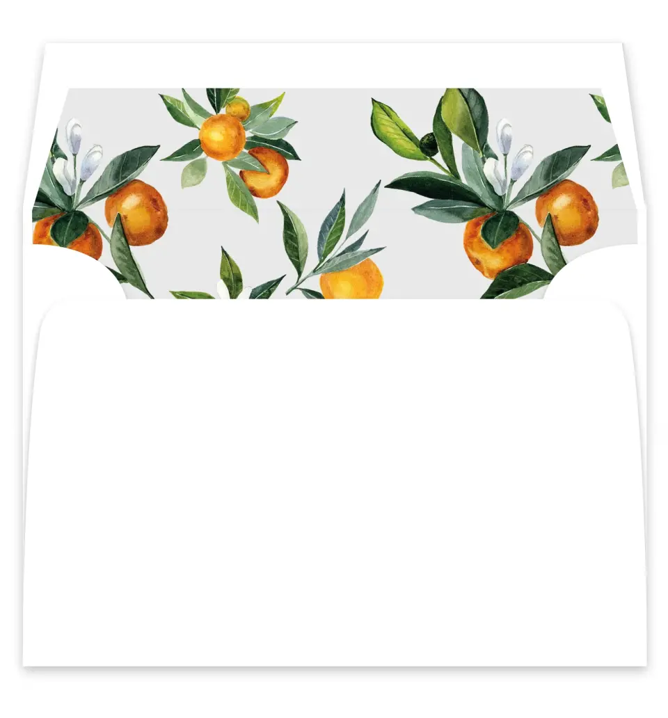 This is a  7¼" x 6⅞" Envelope Liners (ELF) called Mod Citrus printed in full color