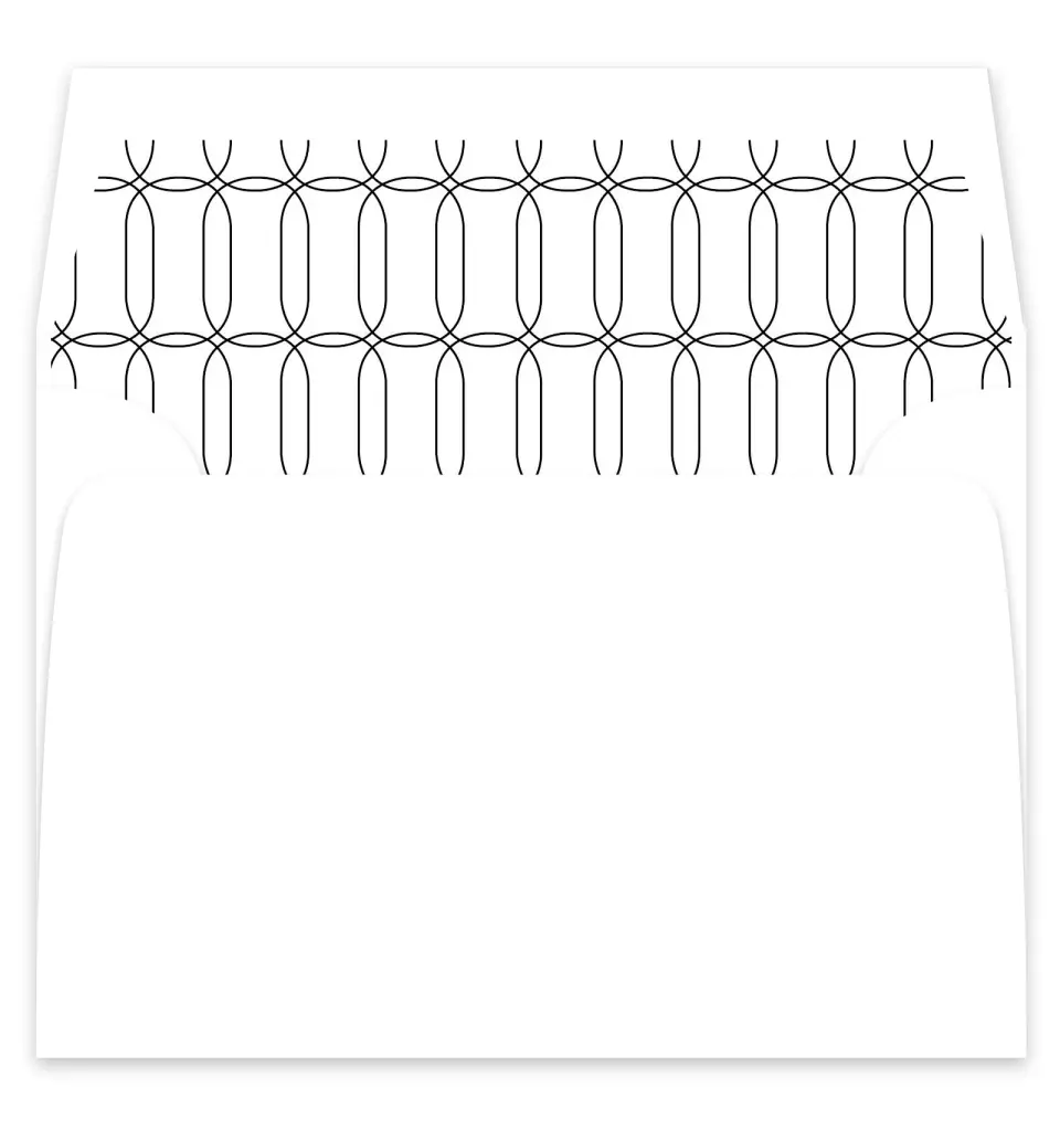 This is a  7¼" x 6⅞" Envelope Liners (ELF) called Precise Promise printed in full color