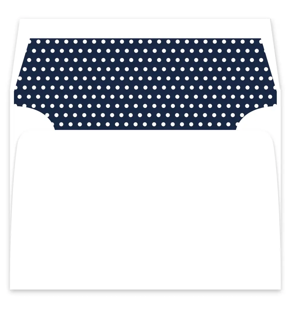 This is a  7¼" x 6⅞" Envelope Liners (ELF) called Minimal Dot printed in full color
