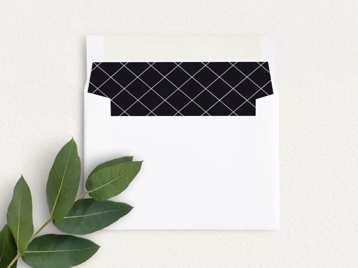 Envelope Liner inside Envelope