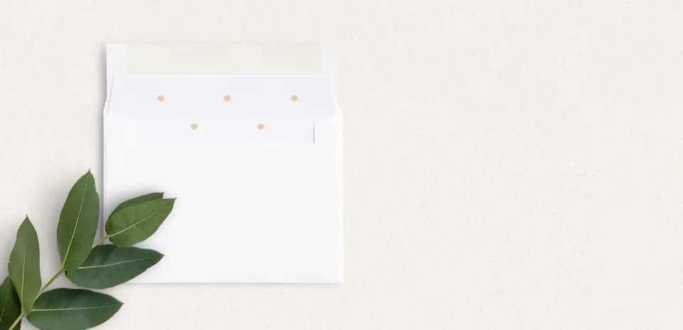 Envelope Liner inside Envelope