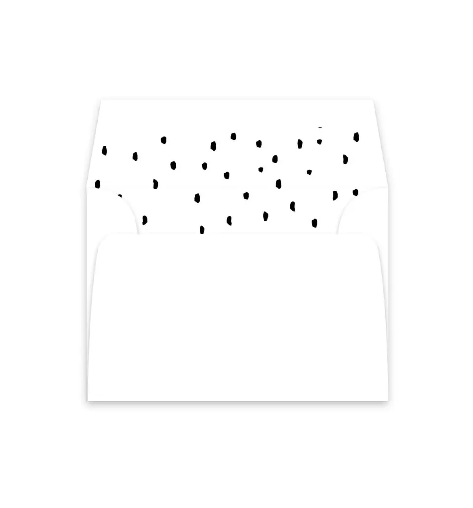 This is a  4⅞" x 4.563" Envelope Liners (ELM) called Painted Cactus printed in full color
