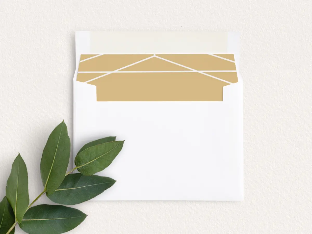 Envelope Liner inside Envelope