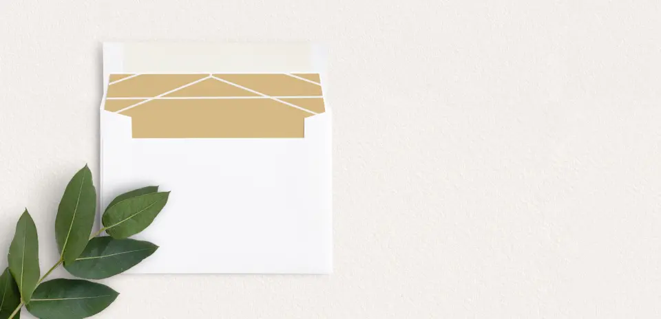 Envelope Liner inside Envelope