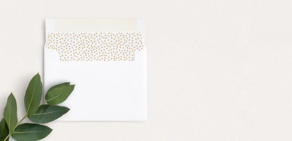 Envelope Liner inside Envelope