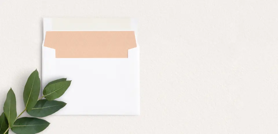 Envelope Liner inside Envelope