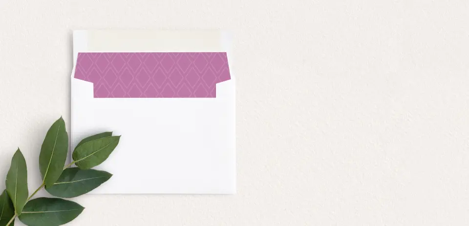 Envelope Liner inside Envelope