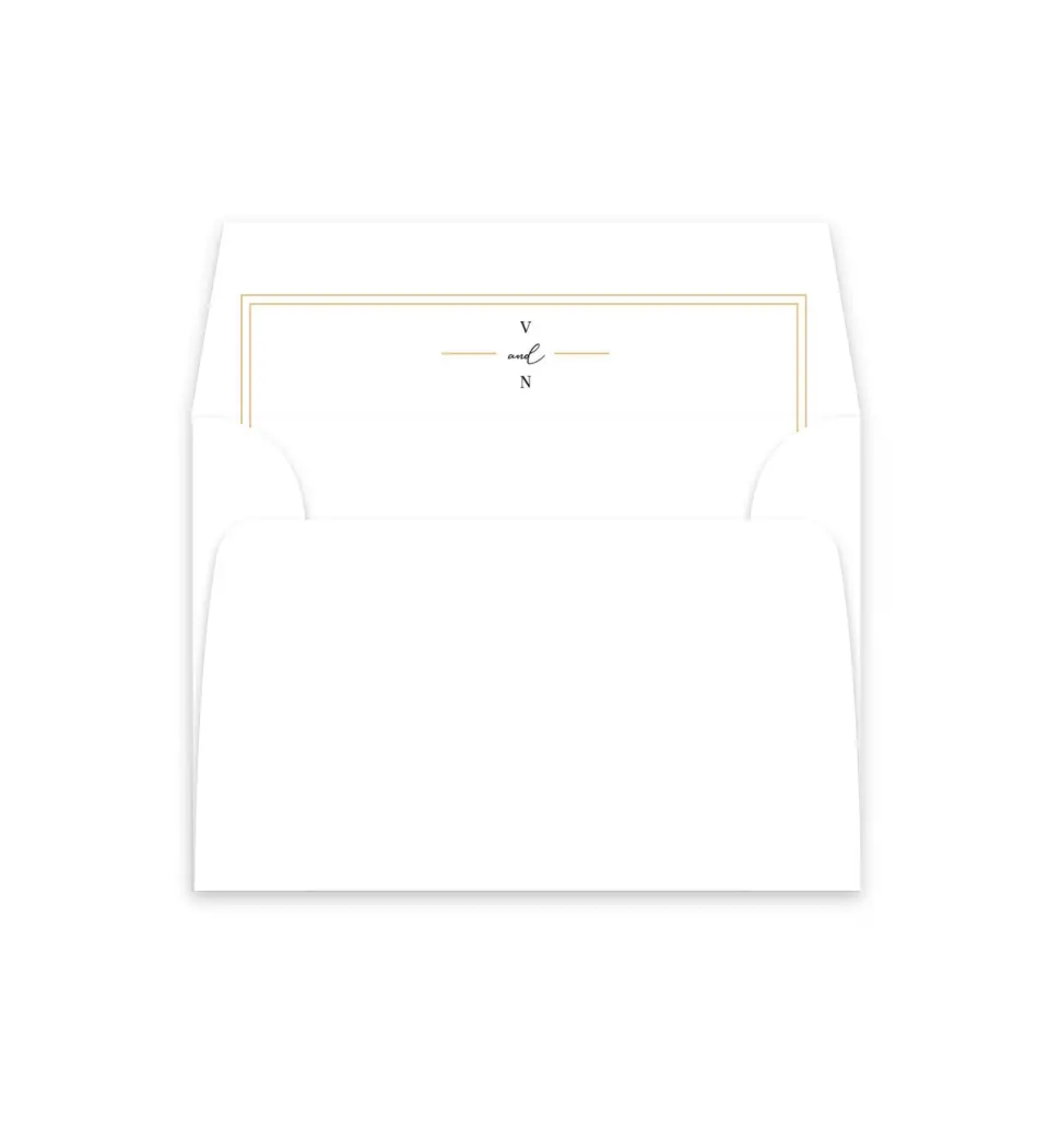 This is a  4⅞" x 4.563" Envelope Liners (ELM) called Delicate Frame printed in full color