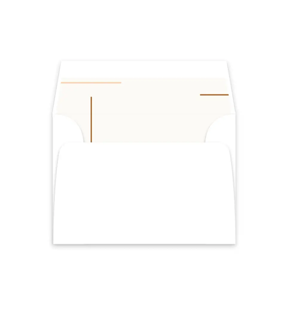 This is a  4⅞" x 4.563" Envelope Liners (ELM) called Playful Script printed in full color
