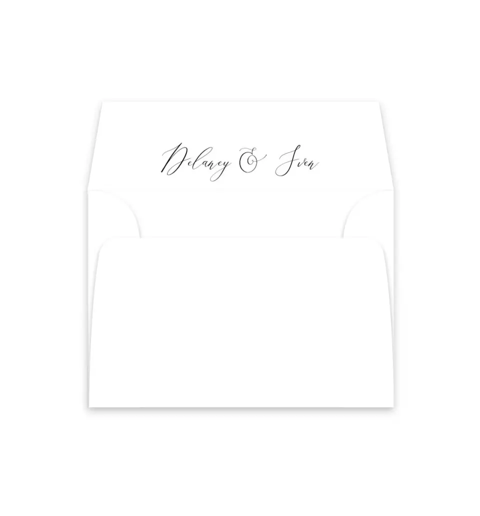 This is a  4⅞" x 4.563" Envelope Liners (ELM) called Chic Celebration printed in full color