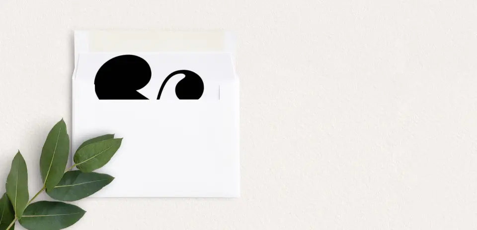 Envelope Liner inside Envelope