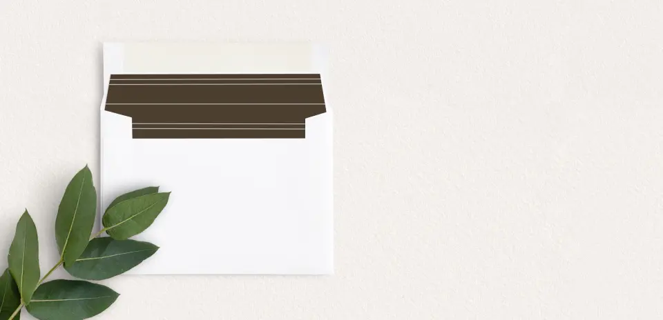 Envelope Liner inside Envelope