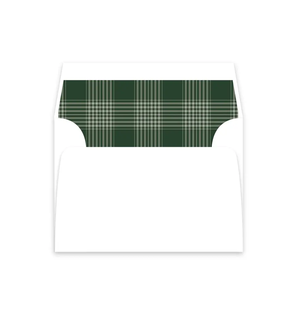 This is a  4⅞" x 4.563" Envelope Liners (ELM) called Festive Celebration printed in full color