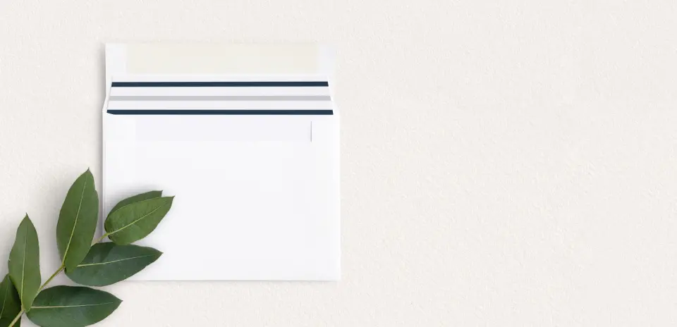 Envelope Liner inside Envelope