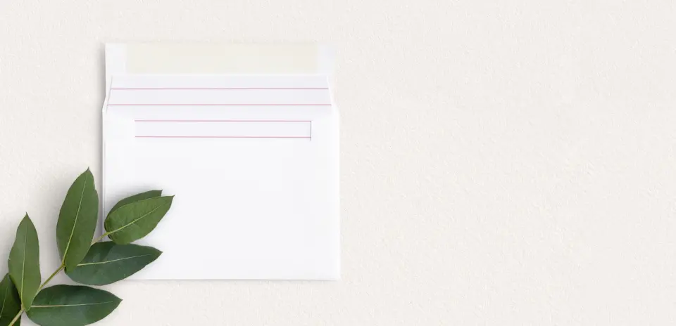 Envelope Liner inside Envelope