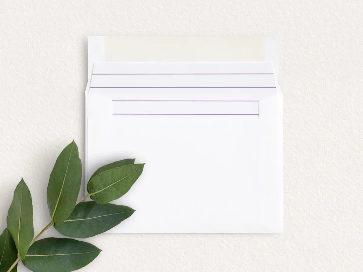 Envelope Liner inside Envelope