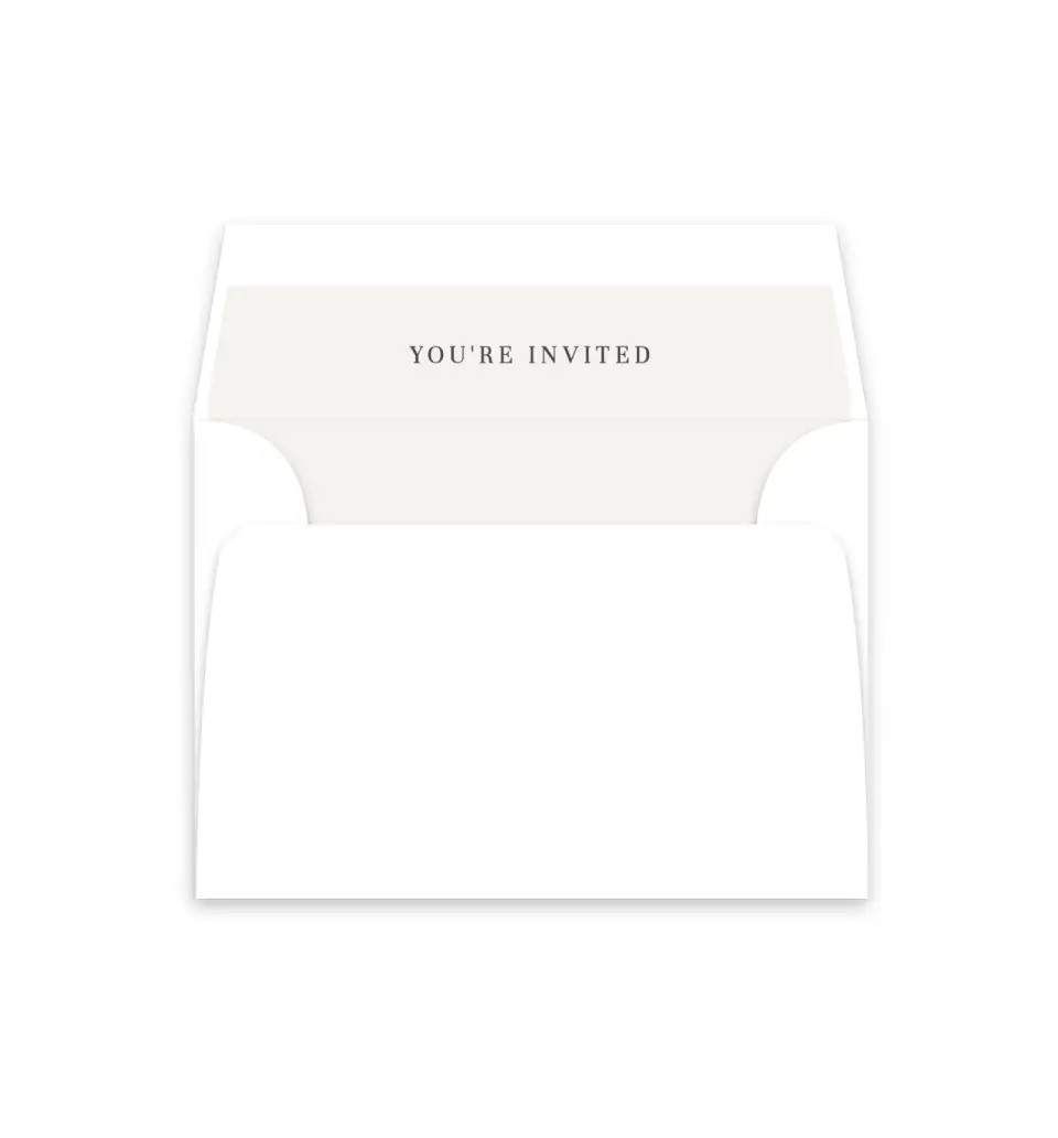 This is a  4⅞" x 4.563" Envelope Liners (ELM) called Mod Paint printed in full color