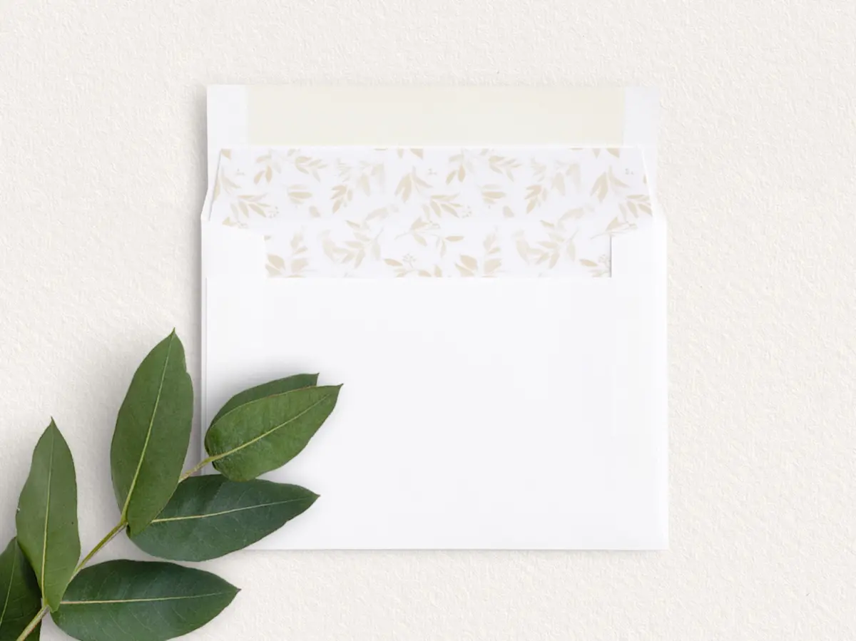 Envelope Liner inside Envelope