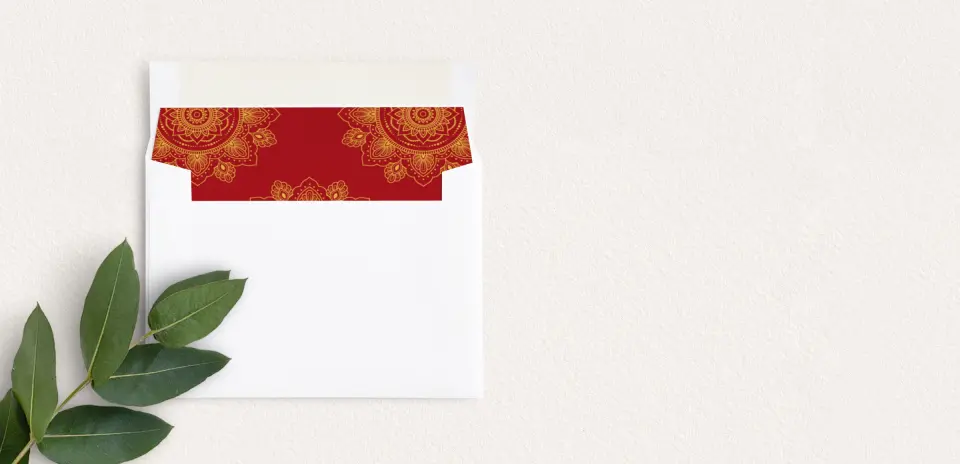Envelope Liner inside Envelope