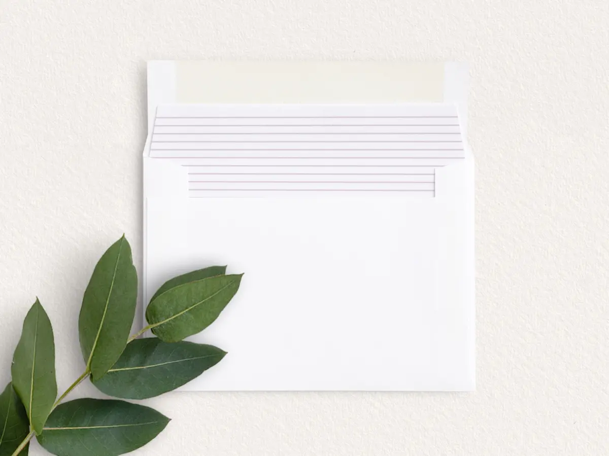 Envelope Liner inside Envelope
