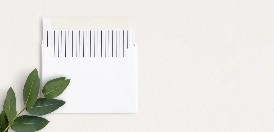 Envelope Liner inside Envelope