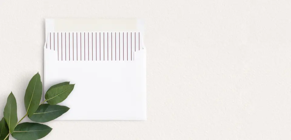 Envelope Liner inside Envelope