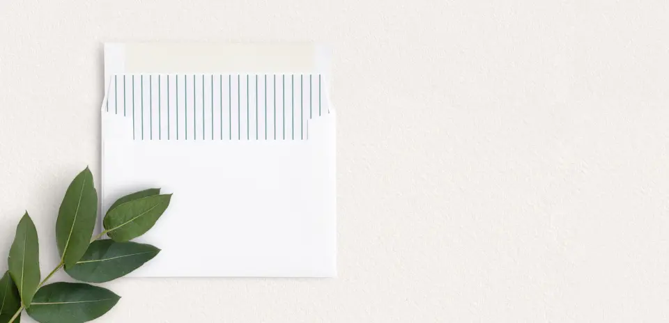 Envelope Liner inside Envelope