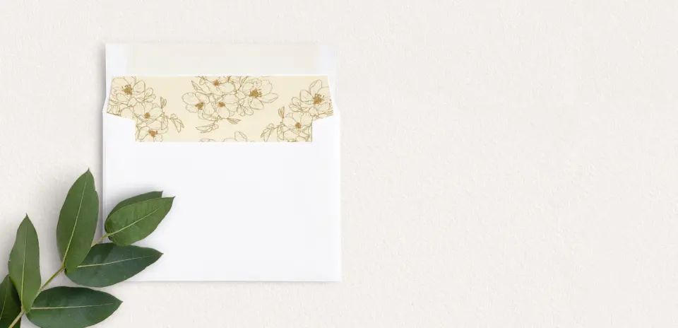 Envelope Liner inside Envelope