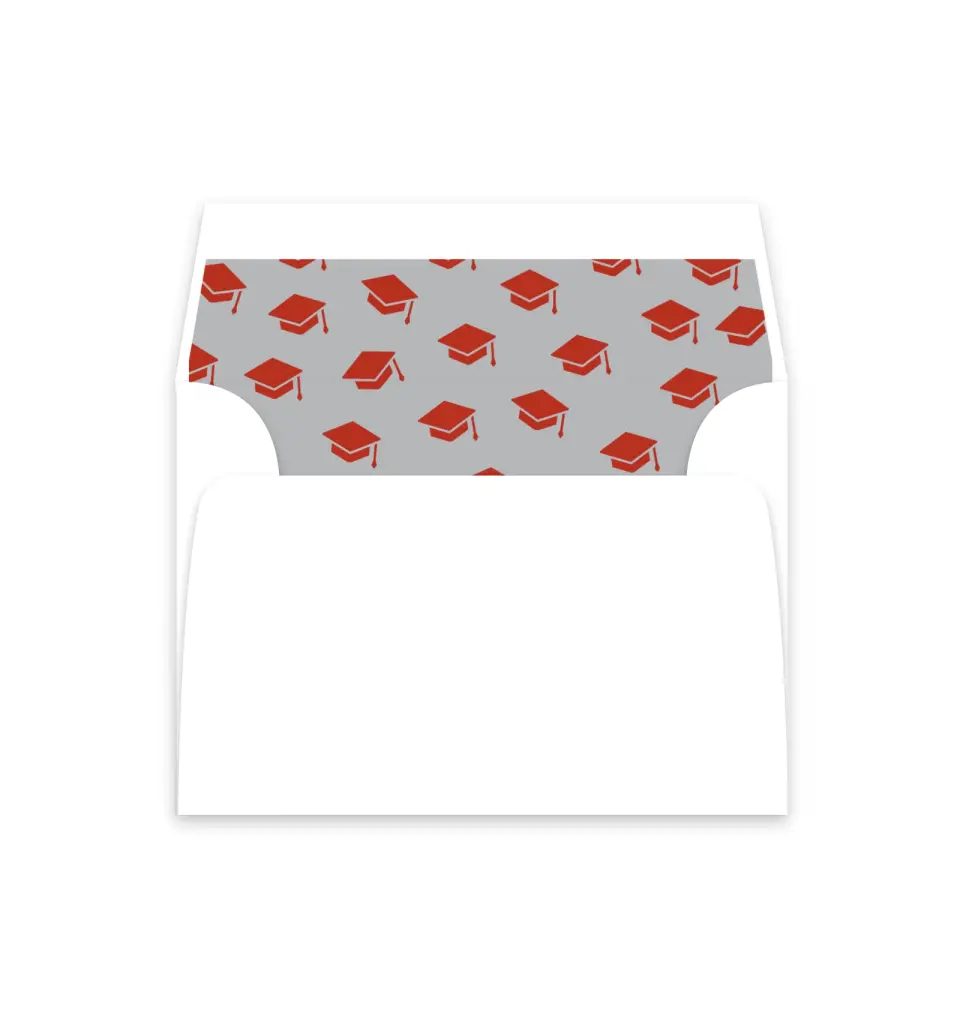 This is a  4⅞" x 4.563" Envelope Liners (ELM) called Cool & Classic printed in full color