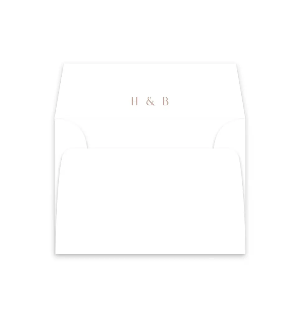 This is a  4⅞" x 4.563" Envelope Liners (ELM) called Neat Names printed in full color
