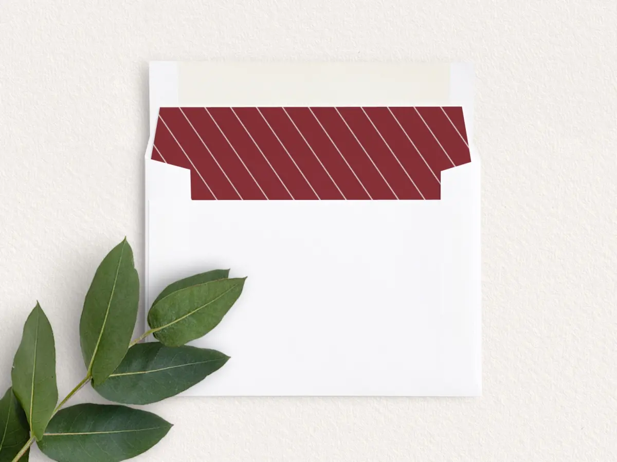 Envelope Liner inside Envelope