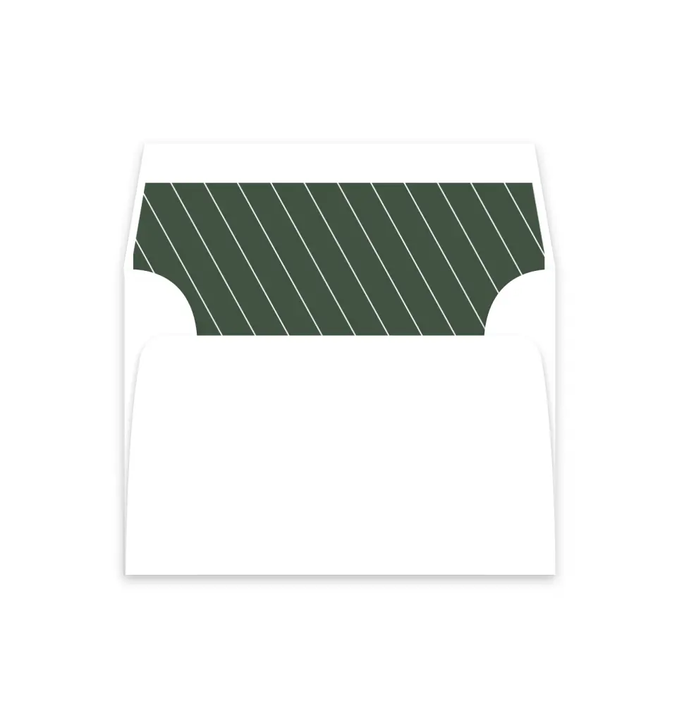 This is a  4⅞" x 4.563" Envelope Liners (ELM) called True Tradition printed in full color