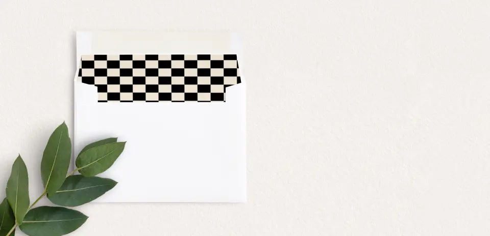 Envelope Liner inside Envelope