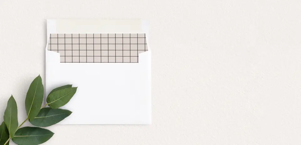 Envelope Liner inside Envelope