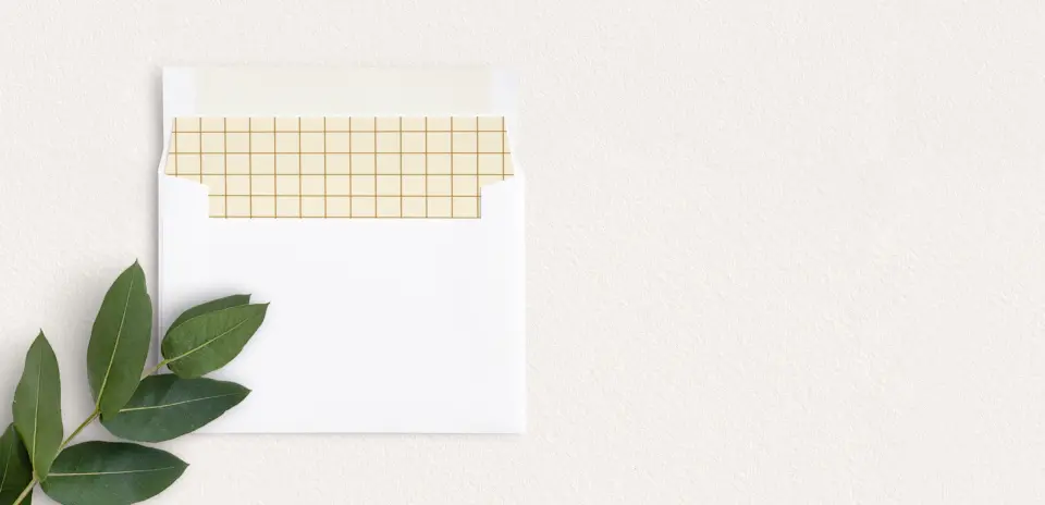 Envelope Liner inside Envelope