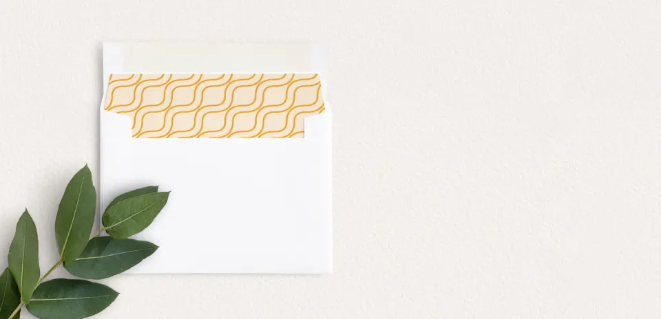 Envelope Liner inside Envelope