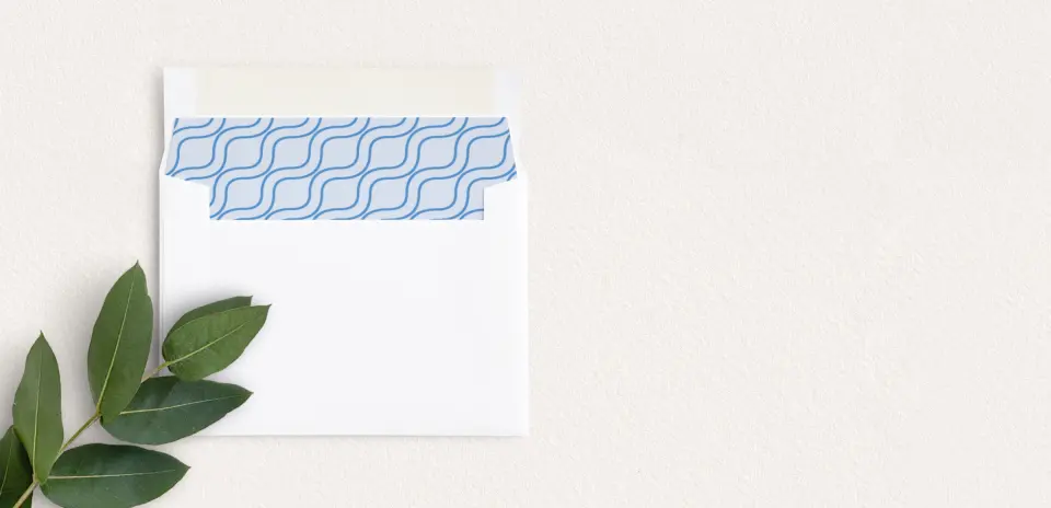 Envelope Liner inside Envelope