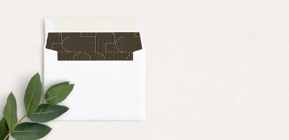 Envelope Liner inside Envelope
